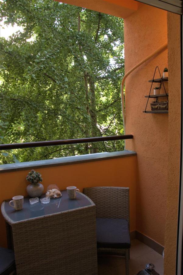 Novi Sad Apartman Tenigo Экстерьер фото